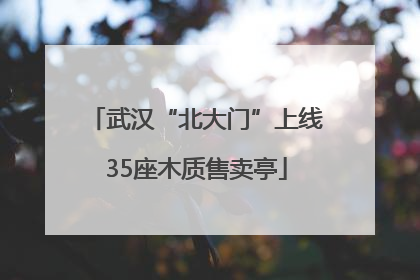 武汉“北大门”上线35座木质售卖亭