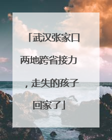 武汉张家口两地跨省接力，走失的孩子回家了