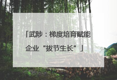 武陟：梯度培育赋能企业“拔节生长”