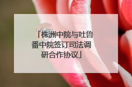 株洲中院与吐鲁番中院签订司法调研合作协议