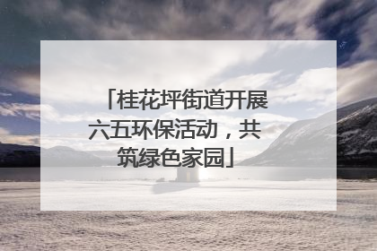 桂花坪街道开展六五环保活动，共筑绿色家园