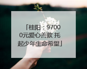 桂阳：97000元爱心善款 托起少年生命希望