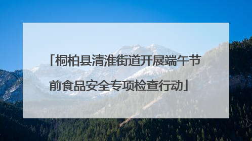 桐柏县清淮街道开展端午节前食品安全专项检查行动