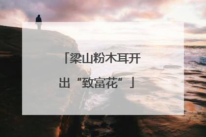 梁山粉木耳开出“致富花”