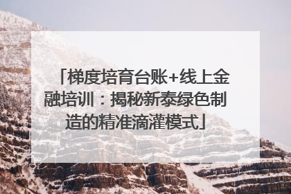 梯度培育台账+线上金融培训：揭秘新泰绿色制造的精准滴灌模式
