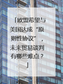 欧盟希望与美国达成“原则性协议”，未来贸易谈判有哪些难点？