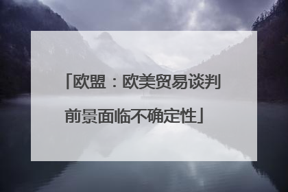 欧盟：欧美贸易谈判前景面临不确定性