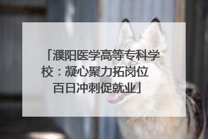 濮阳医学高等专科学校：凝心聚力拓岗位 百日冲刺促就业