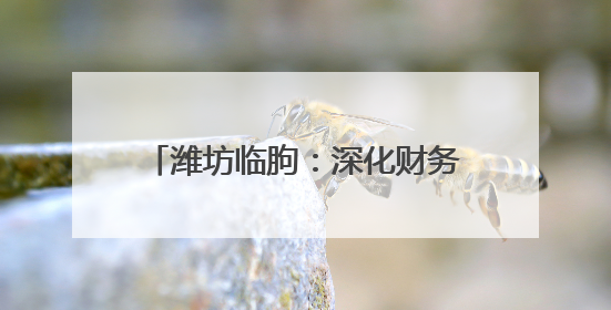 潍坊临朐：深化财务总监委派制改革 助力县属国企合规经营