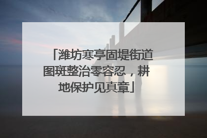 潍坊寒亭固堤街道图斑整治零容忍，耕地保护见真章
