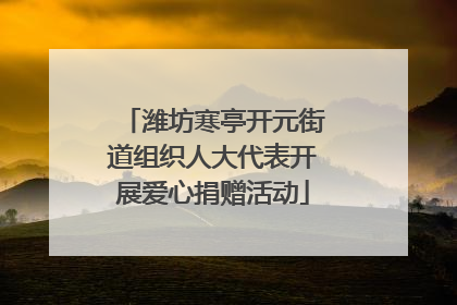 潍坊寒亭开元街道组织人大代表开展爱心捐赠活动