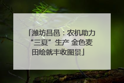 潍坊昌邑：农机助力“三夏”生产 金色麦田绘就丰收图景