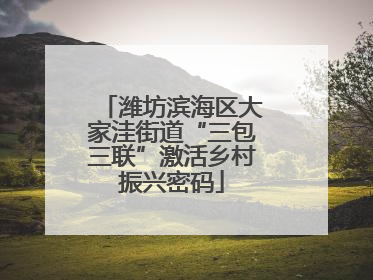 潍坊滨海区大家洼街道“三包三联”激活乡村振兴密码