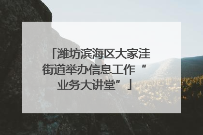 潍坊滨海区大家洼街道举办信息工作“业务大讲堂”