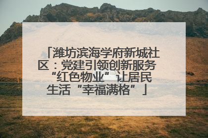 潍坊滨海学府新城社区：党建引领创新服务 “红色物业”让居民生活“幸福满格”