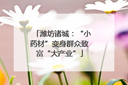 潍坊诸城：“小药材”变身群众致富“大产业”