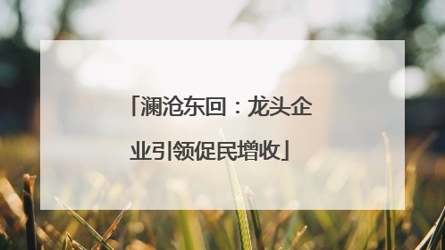 澜沧东回：龙头企业引领促民增收