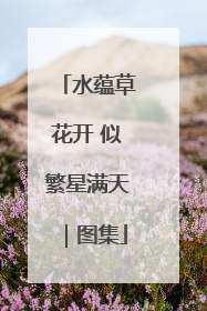 水蕴草花开 似繁星满天｜图集