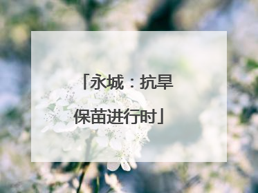 永城：抗旱保苗进行时