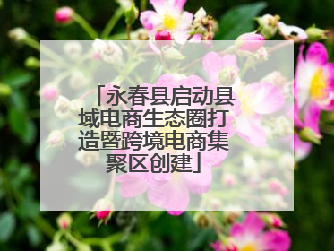 永春县启动县域电商生态圈打造暨跨境电商集聚区创建