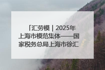 汇劳模｜2025年上海市模范集体——国家税务总局上海市徐汇区税务局第一税务所