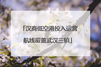 汉商低空港投入运营 航线覆盖武汉三镇