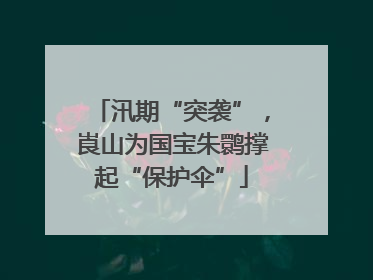 汛期“突袭”，崀山为国宝朱鹮撑起“保护伞”