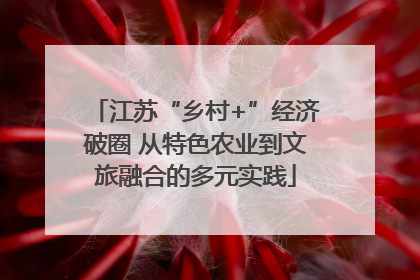 江苏“乡村+”经济破圈 从特色农业到文旅融合的多元实践