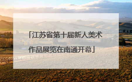江苏省第十届新人美术作品展览在南通开幕
