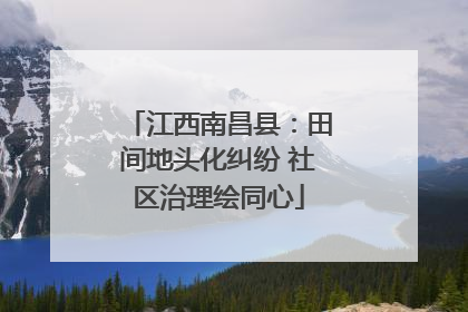 江西南昌县：田间地头化纠纷 社区治理绘同心