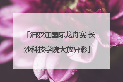 汨罗江国际龙舟赛 长沙科技学院大放异彩