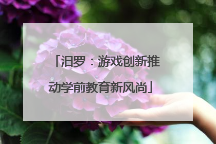 汨罗：游戏创新推动学前教育新风尚