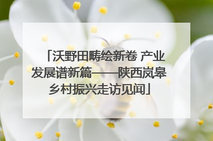 沃野田畴绘新卷 产业发展谱新篇——陕西岚皋乡村振兴走访见闻