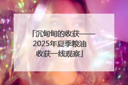 沉甸甸的收获——2025年夏季粮油收获一线观察