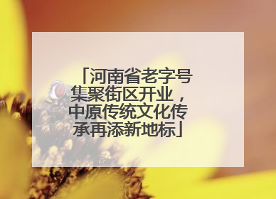 河南省老字号集聚街区开业，中原传统文化传承再添新地标