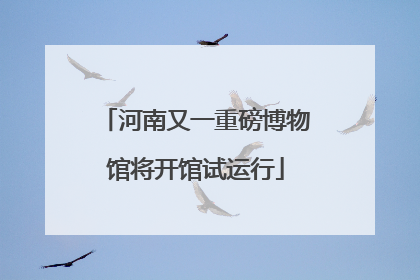 河南又一重磅博物馆将开馆试运行