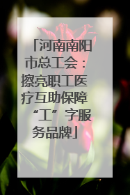 河南南阳市总工会：擦亮职工医疗互助保障“工”字服务品牌
