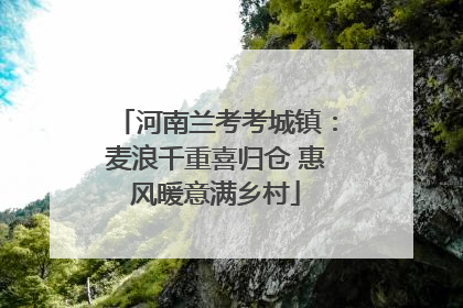 河南兰考考城镇：麦浪千重喜归仓 惠风暖意满乡村