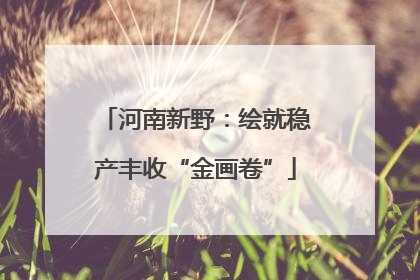 河南新野：绘就稳产丰收“金画卷”