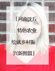 河南沈丘：特色农业绘就乡村振兴新图景