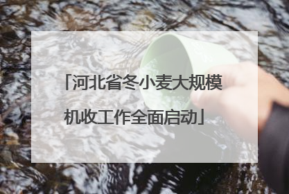 河北省冬小麦大规模机收工作全面启动