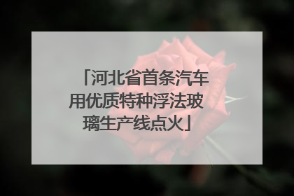 河北省首条汽车用优质特种浮法玻璃生产线点火