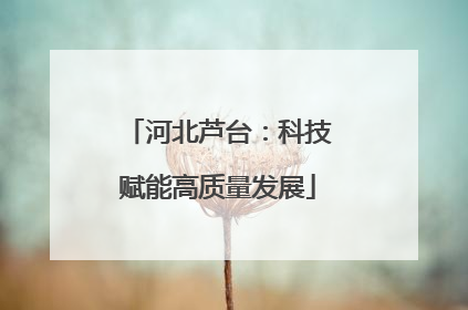 河北芦台：科技赋能高质量发展