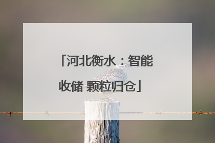 河北衡水：智能收储 颗粒归仓