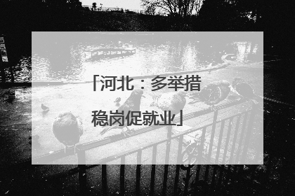 河北：多举措稳岗促就业