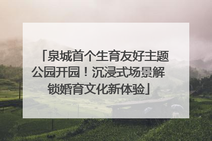 泉城首个生育友好主题公园开园！沉浸式场景解锁婚育文化新体验