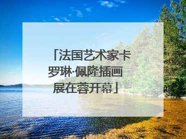 法国艺术家卡罗琳·佩隆插画展在蓉开幕