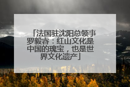 法国驻沈阳总领事罗毅睿：红山文化是中国的瑰宝，也是世界文化遗产