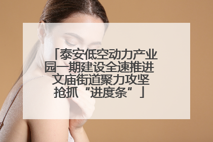 泰安低空动力产业园一期建设全速推进 文庙街道聚力攻坚抢抓“进度条”