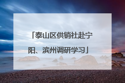 泰山区供销社赴宁阳、滨州调研学习